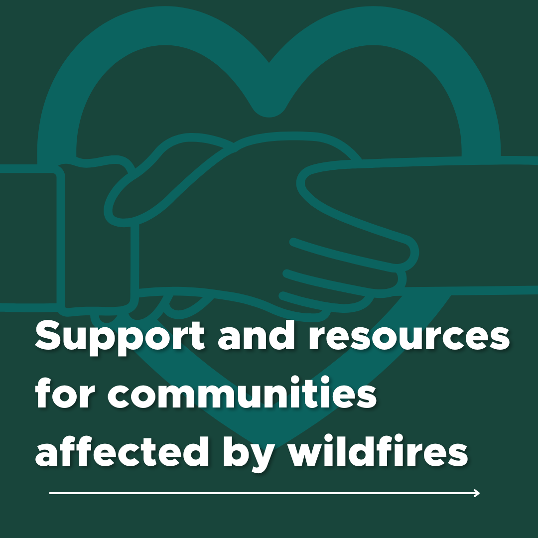 Support and Resources for People and Communities Affected by LA Wildfires