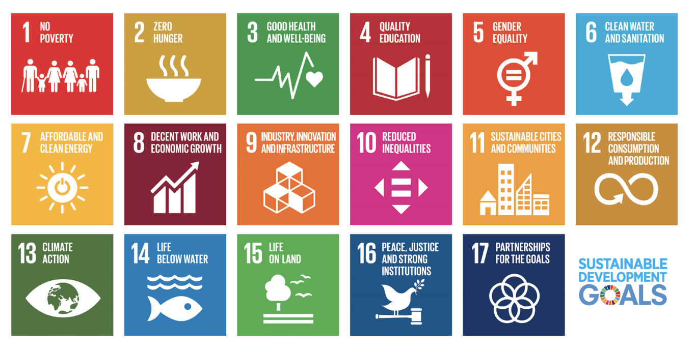 The 17 United Nations Sustainable Development Goals (see link below)