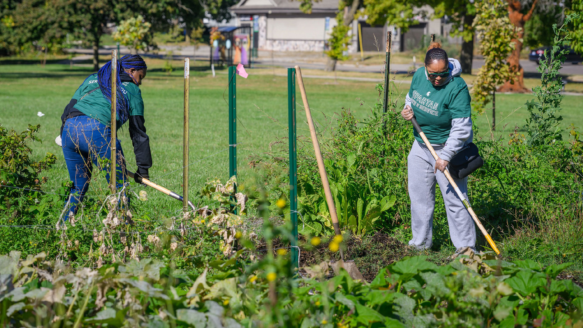 Two individuals are gardening in a green outdoor space, using long-handled tools to work near a row of plants. The area is fenced with green posts, and the background shows a grassy field and trees.